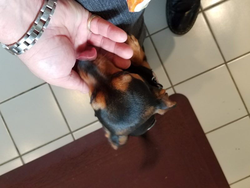Daisy is very sweet.